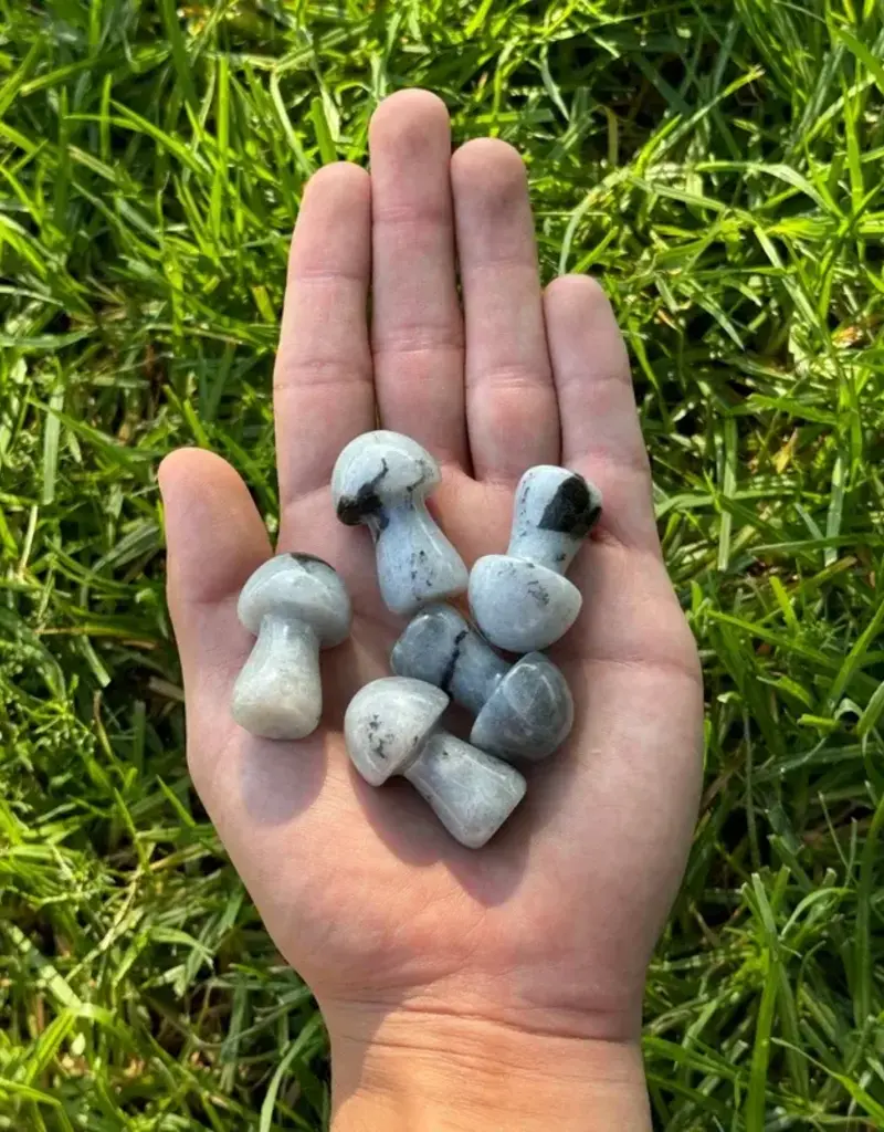 Labradorite Mushroom Medium