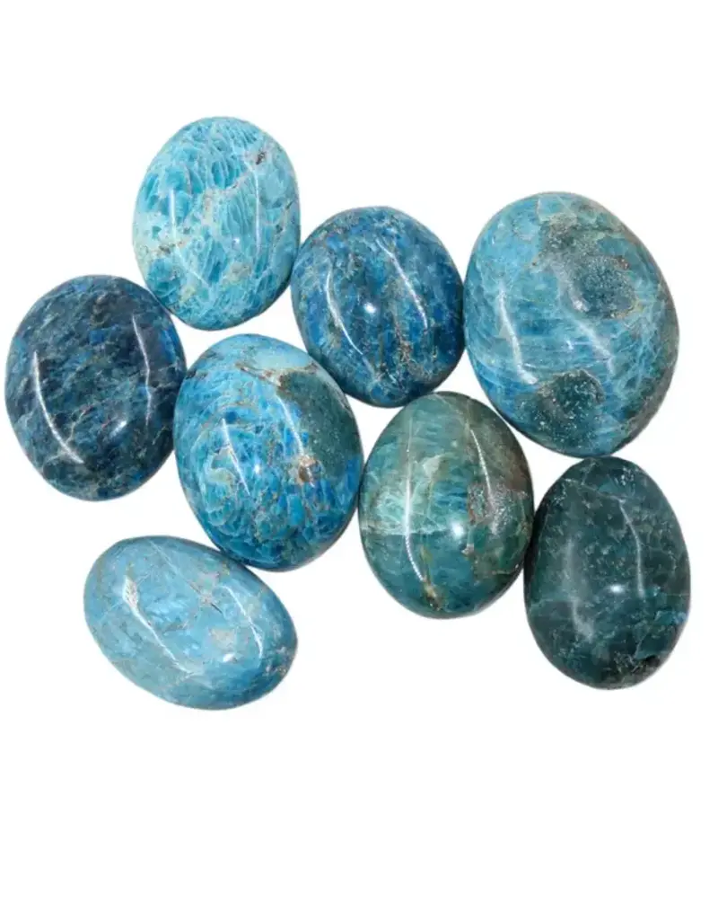 Blue Apatite Palm Stone Sm- PS-BAP14