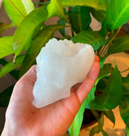 Quartz Skull Bowl - 2
