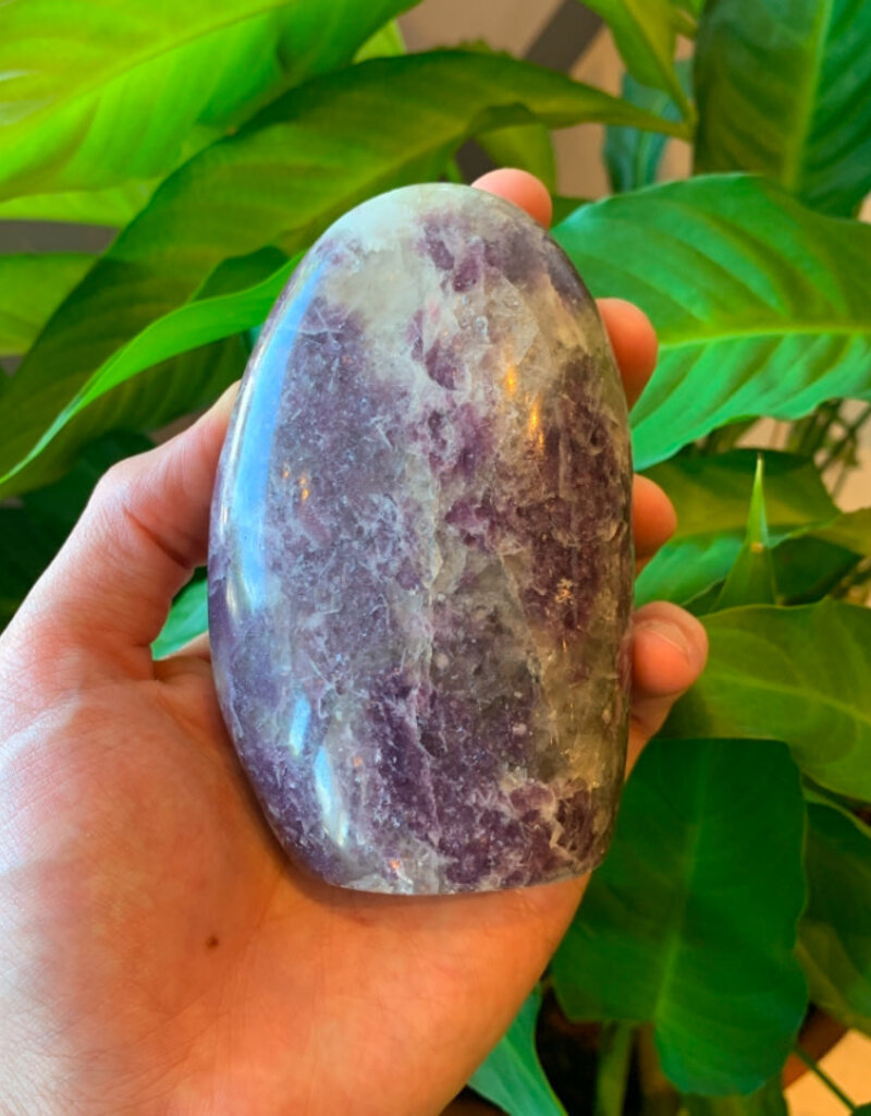 Lepidolite Carved Oval