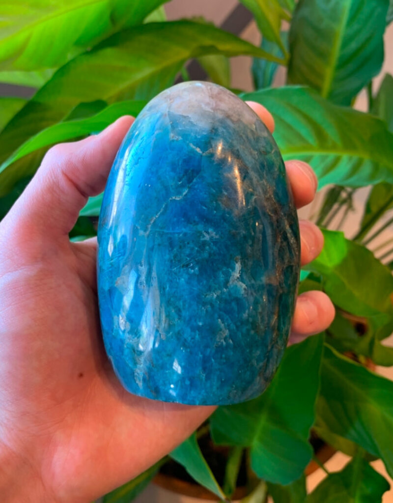 Blue Apatite Oval