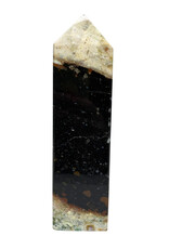 Palm Root Jasper Point