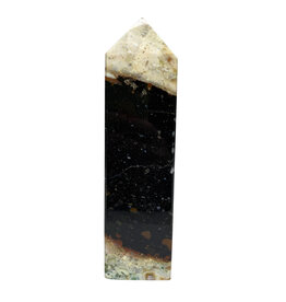 Palm Root Jasper Point