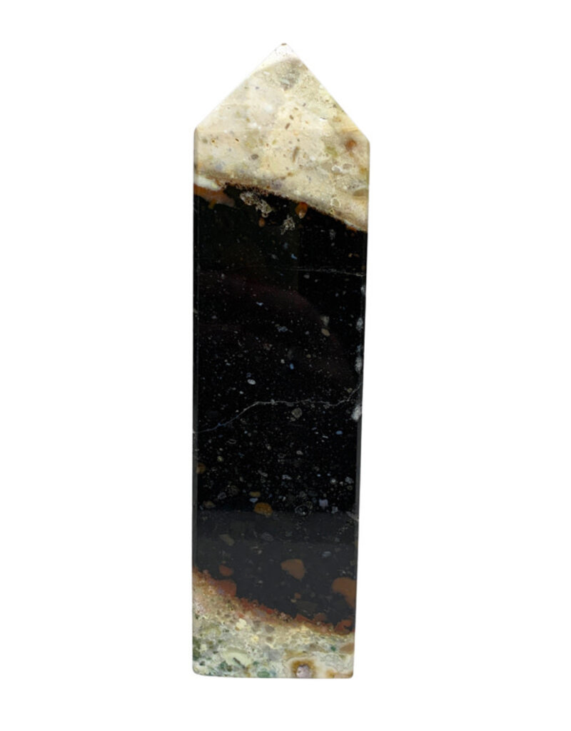 Palm Root Jasper Point
