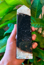 Palm Root Jasper Point