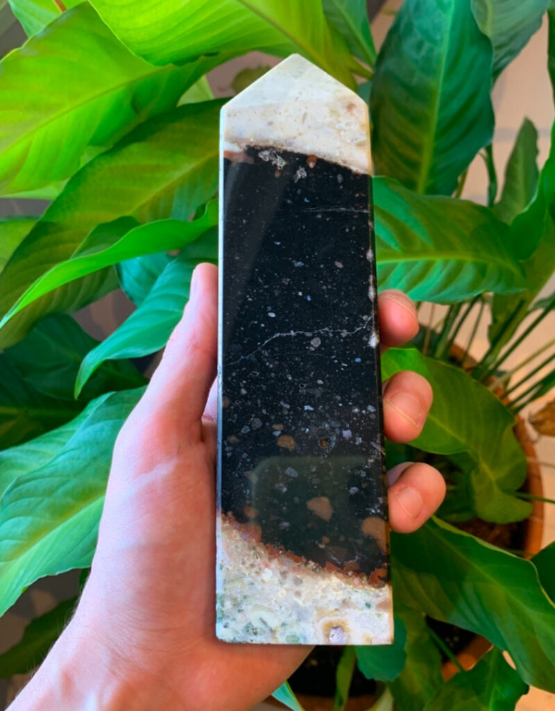 Palm Root Jasper Point