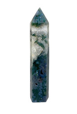 Moss Agate Point - 5
