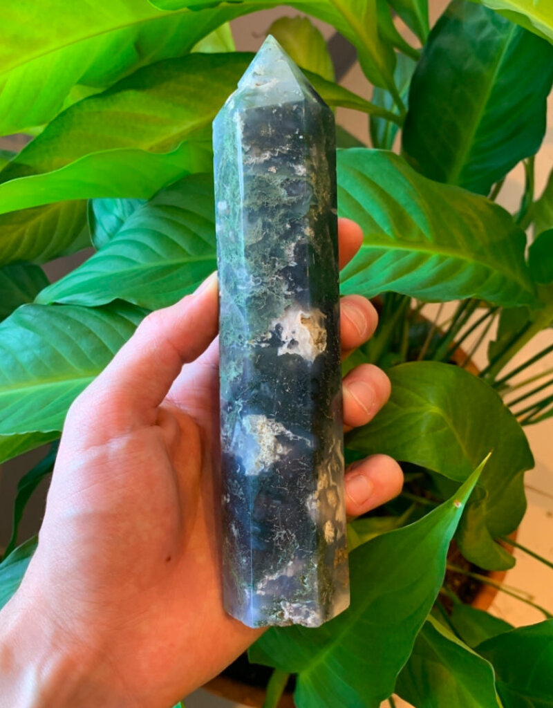 Moss Agate Point - 5