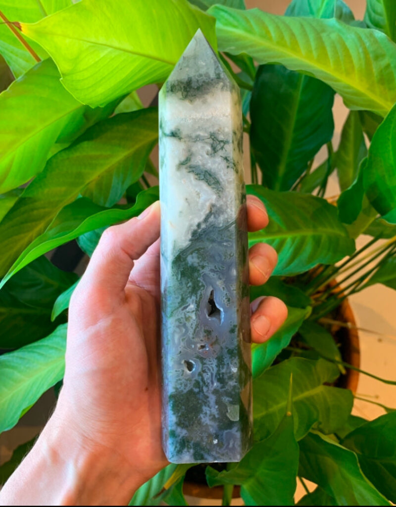 Moss Agate Point - 4