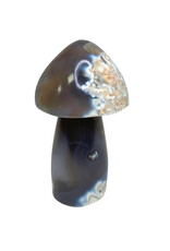 Mushroom - 1