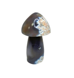 Mushroom - 1