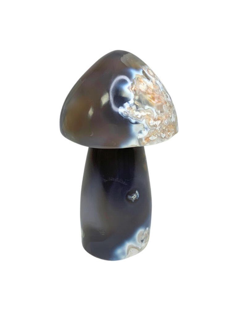 Mushroom - 1