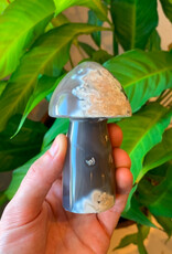 Mushroom - 1
