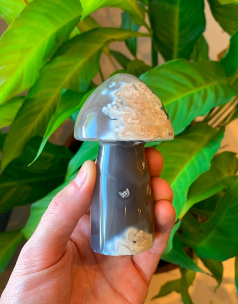 Mushroom - 1