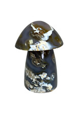 Mushroom - 2