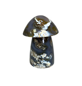Mushroom - 2
