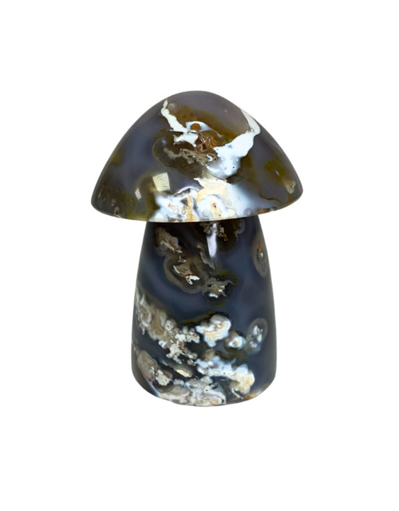 Mushroom - 2