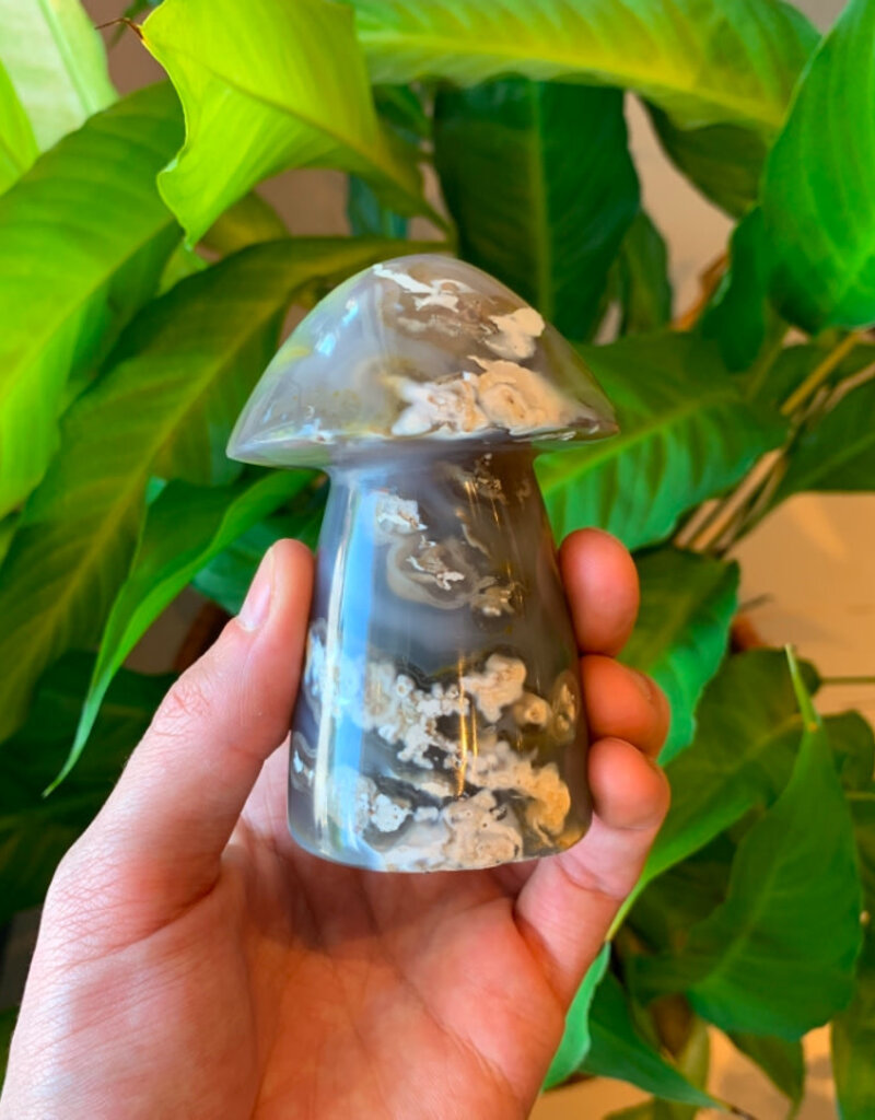 Mushroom - 2