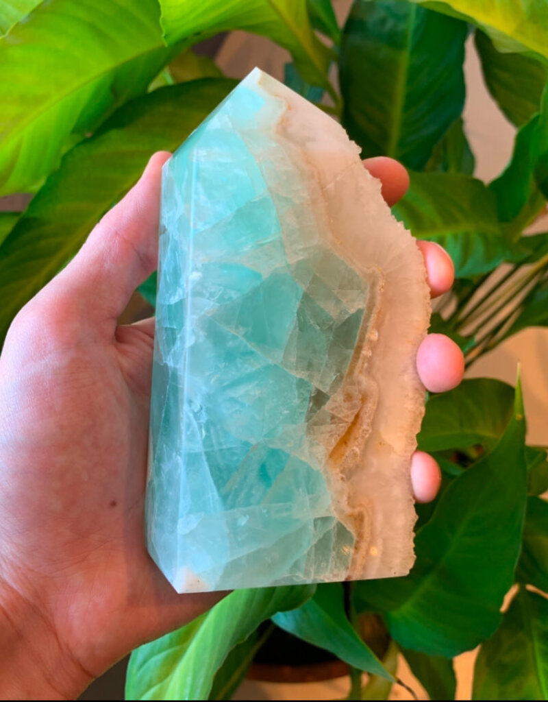 Fluorite with Druze - 2