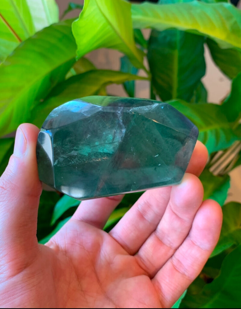 Flourite Angular