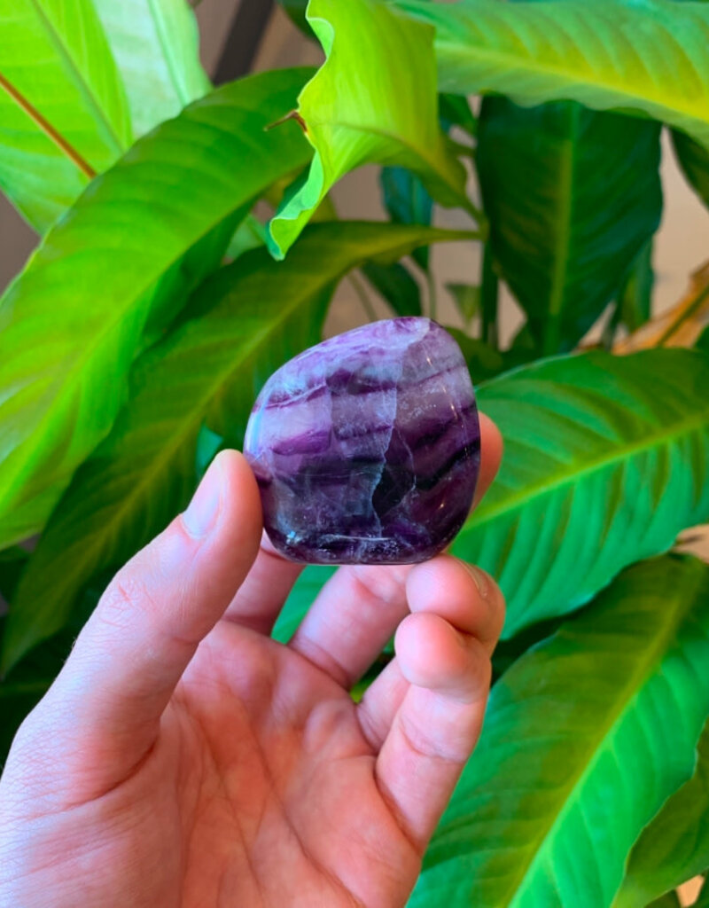 Fluorite Large Tumbled
