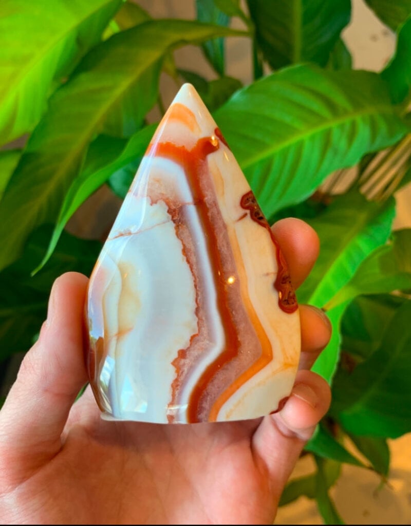 Sardonyx Flame - 4