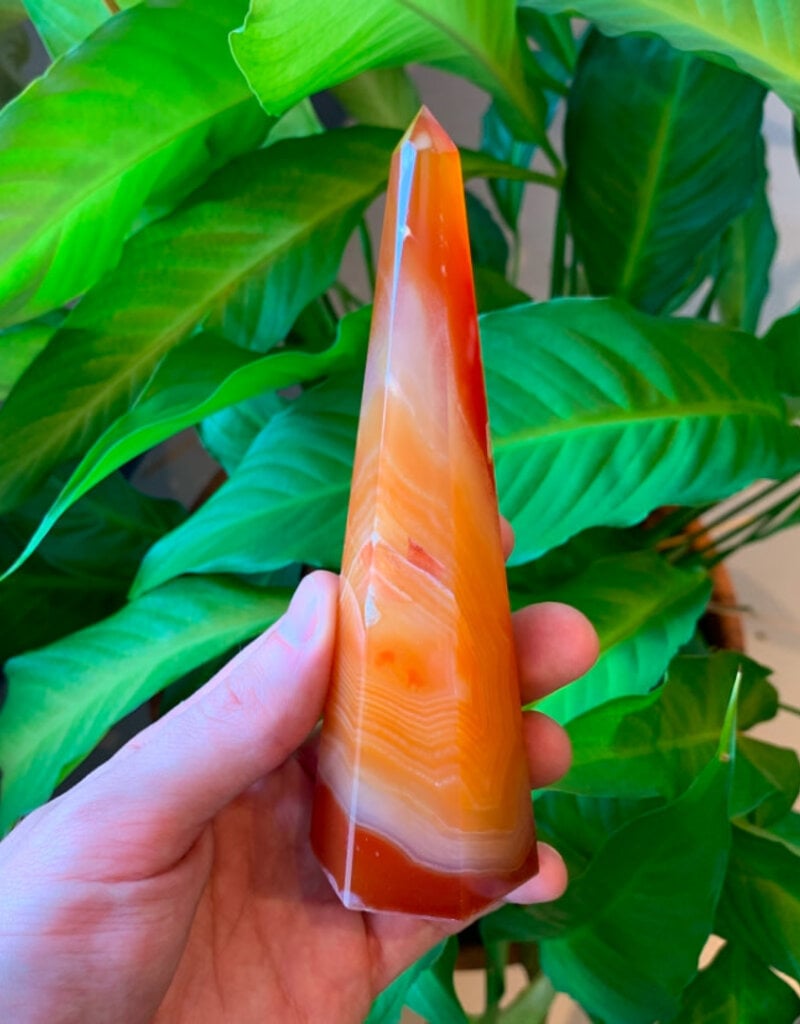 Sardonyx Point