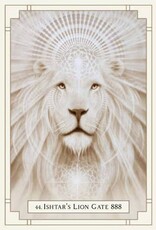 White Light Oracle