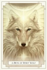 White Light Oracle