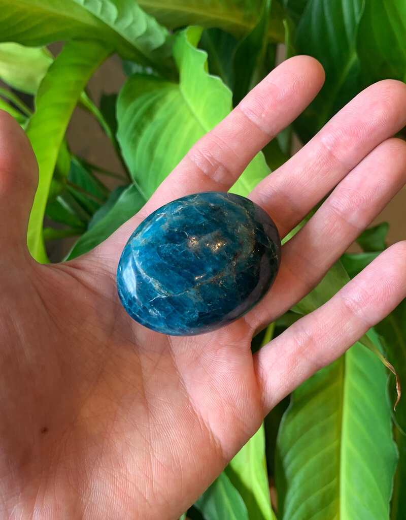Blue Apatite Palm Stone (M) - BAP14