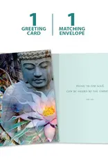 All Occasion - Living Radiance - 14121
