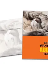 All Occasion -Adult Today - 19580