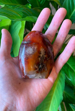 Carnelian Free Form- Small 2