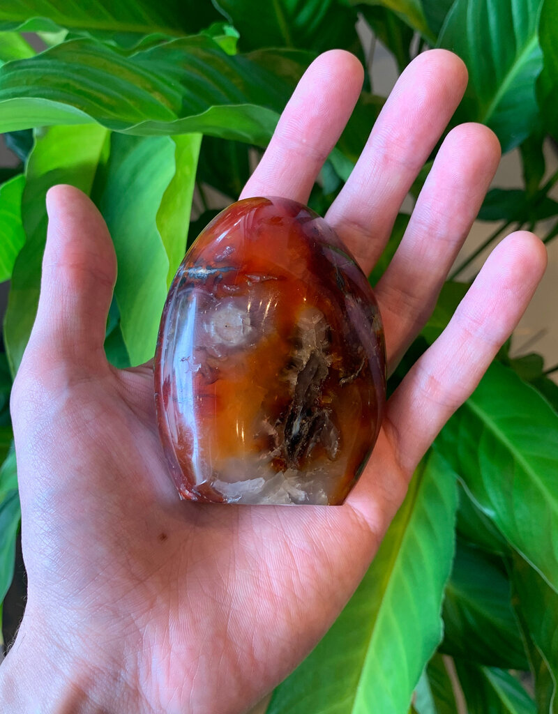 Carnelian Free Form- Small 2
