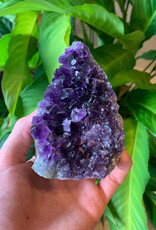 Amethyst Geode, Cut Base- Medium