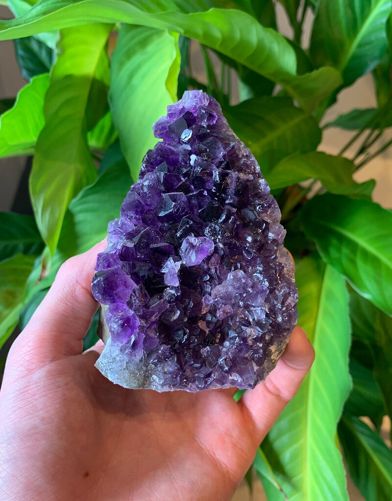 Amethyst Geode, Cut Base- Medium