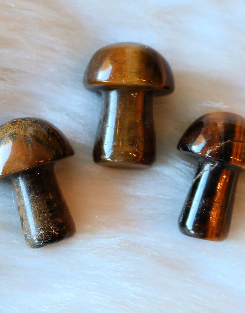 Tigers Eye Mushroom Medium- M-TEM