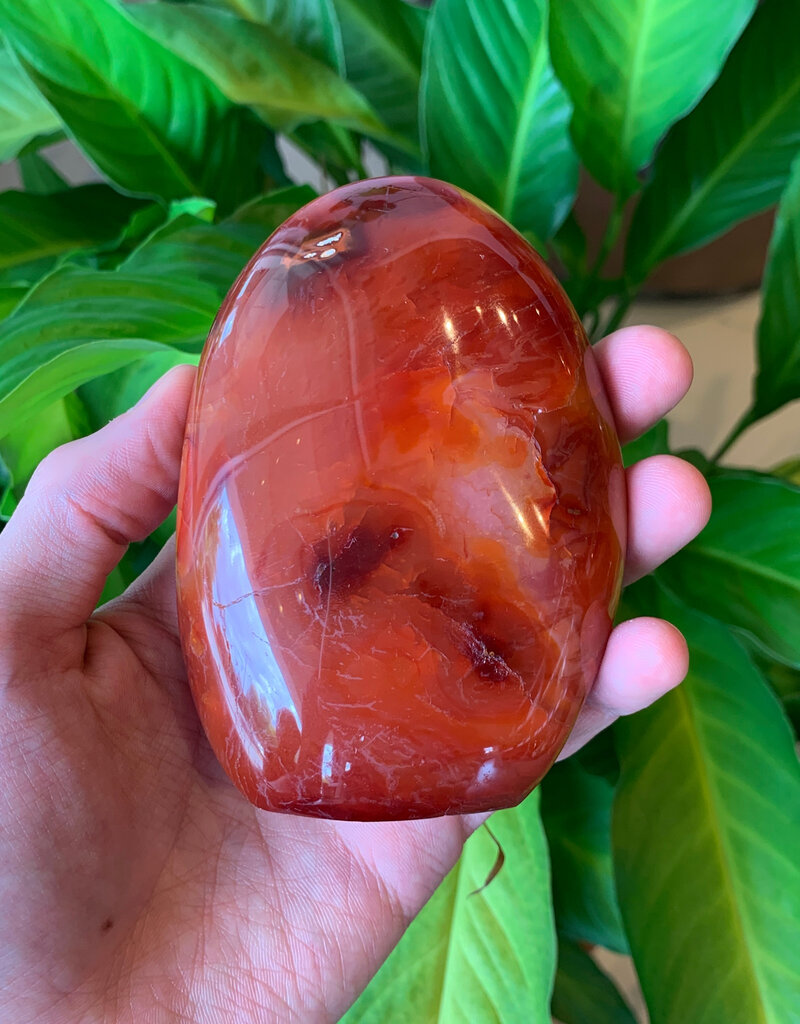 Carnelian Free Form- Med 2