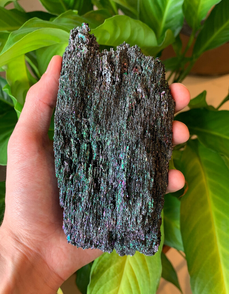 Carborundum Large - 7