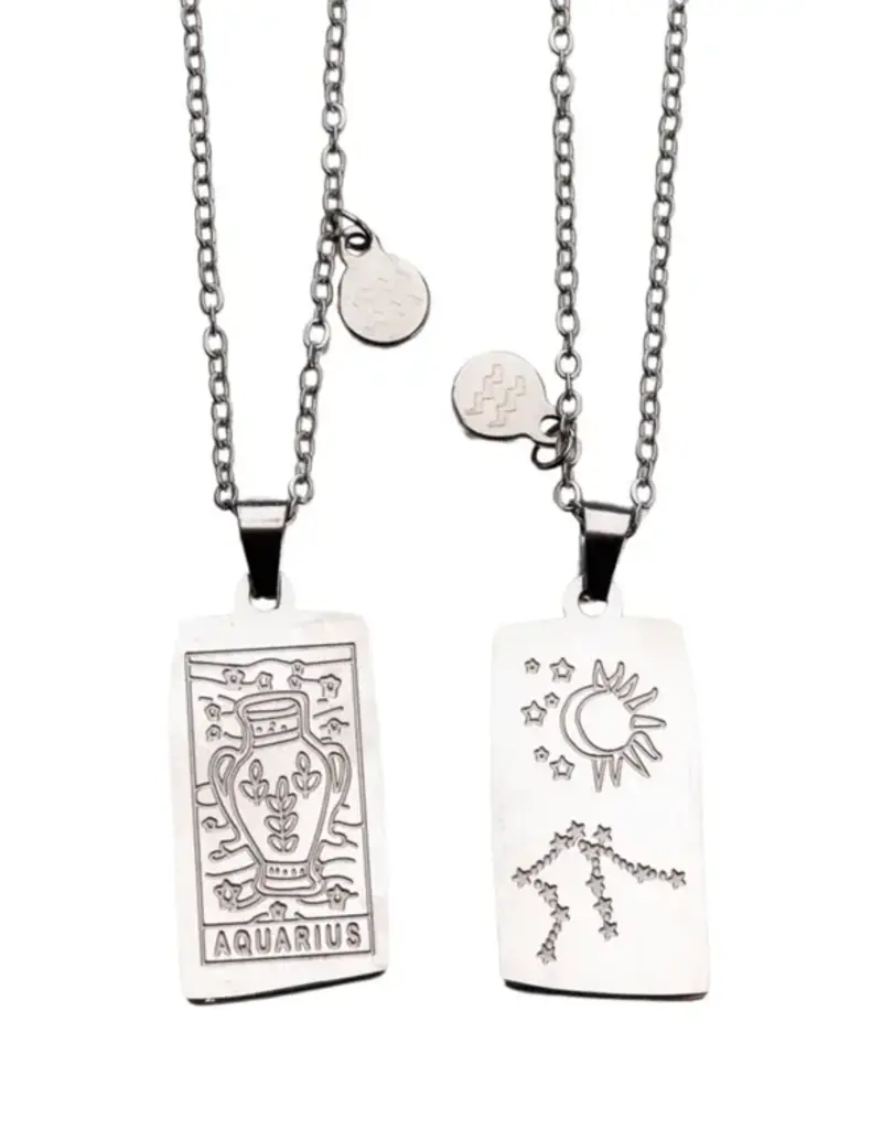 Zodiac Tarot Card & Astrology Necklace - 316L Stainless Steal / Aquarius - 9727