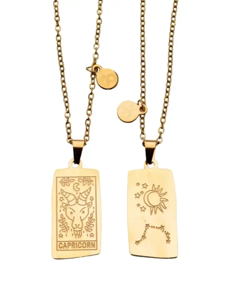 Zodiac Tarot Card & Astrology Necklace - Gold Plated / Capricorn - 9722