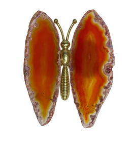 Butterfly - Burnt Orange, Gold Body- BFLY9808