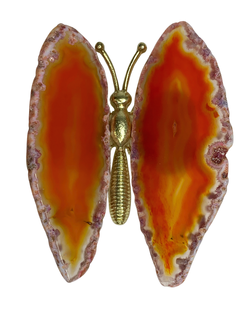 Butterfly - Burnt Orange, Gold Body