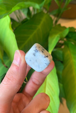 Agate Dendrite Tumble