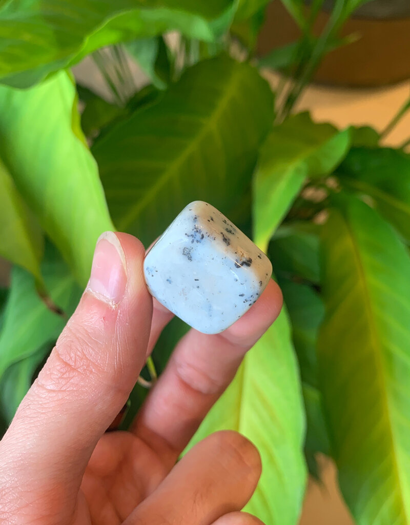 Agate Dendrite Tumble