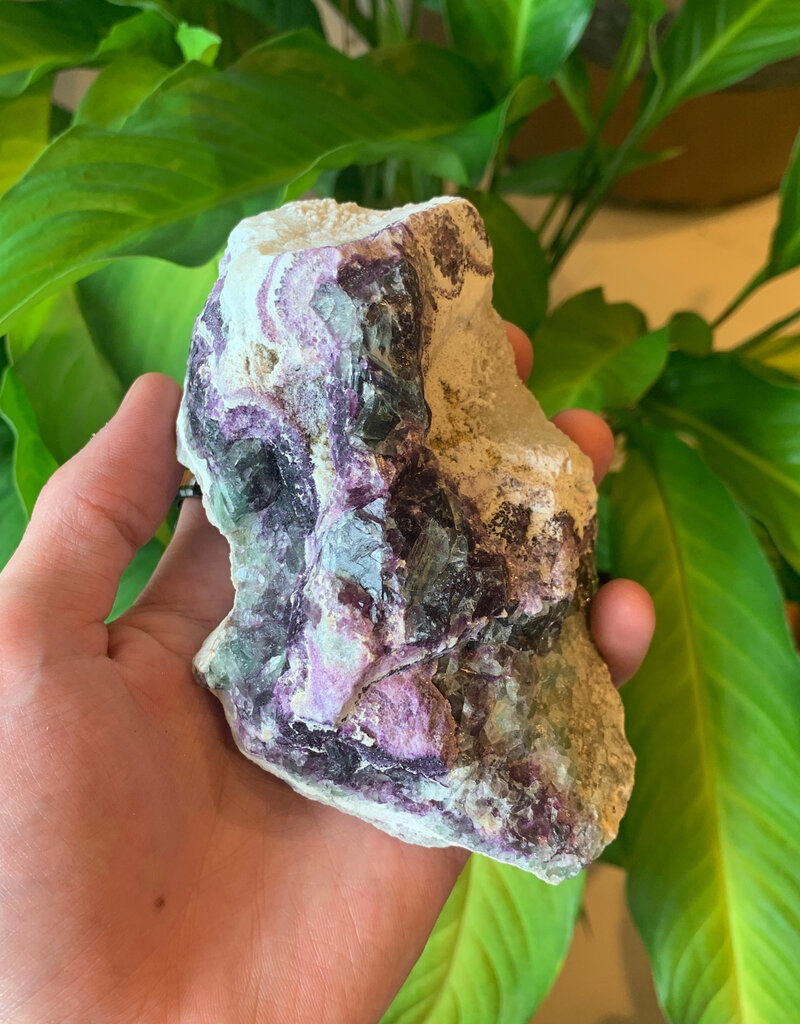 Fluorite Rough Specimen - 5