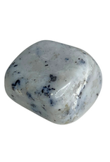Agate Dendrite Tumble