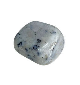 Agate Dendrite Tumble