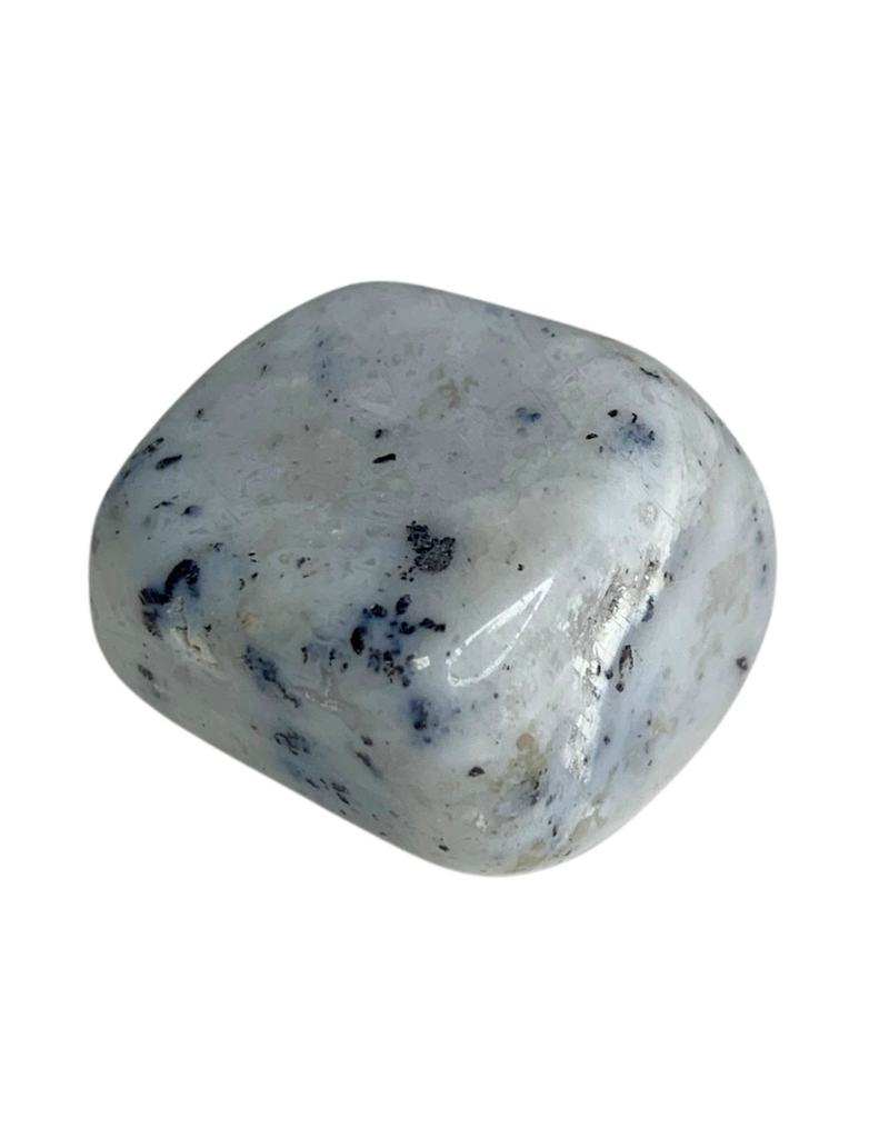 Agate Dendrite Tumble