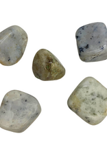 Agate Dendrite Tumble